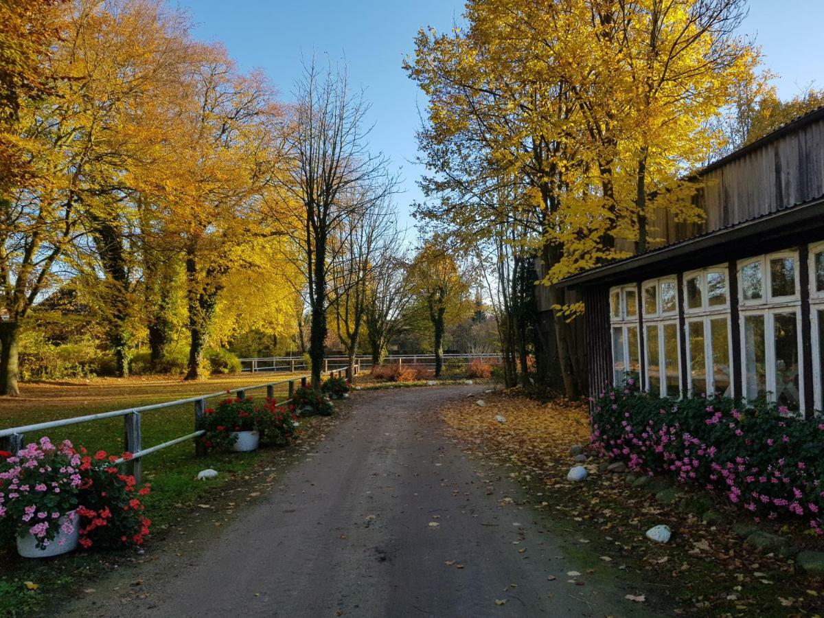 Grosse, Helle Mit 2 Balkonen Auf Dem Bauernhof In Der Lueneburger Heide